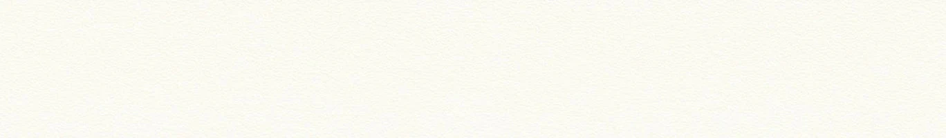 ABS  IVORY 12516    22mm X 2mm (100)
