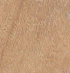 IRON ON VENEER EDGE IROKO 22MM X 50MTR